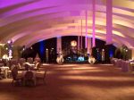 Picture_589.jpg